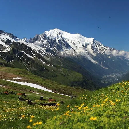 Chalet Nicolas *